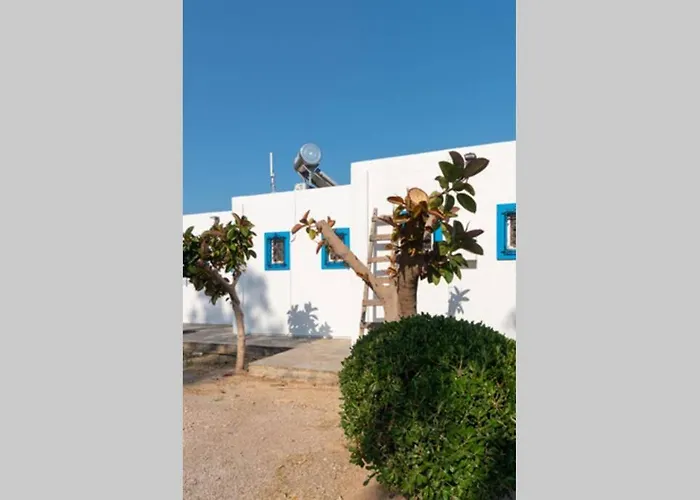 Nektaria\'S Studio